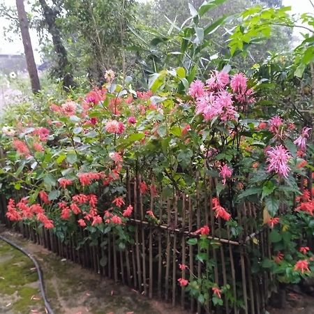Meikha Homestay Pynursla Ngoại thất bức ảnh