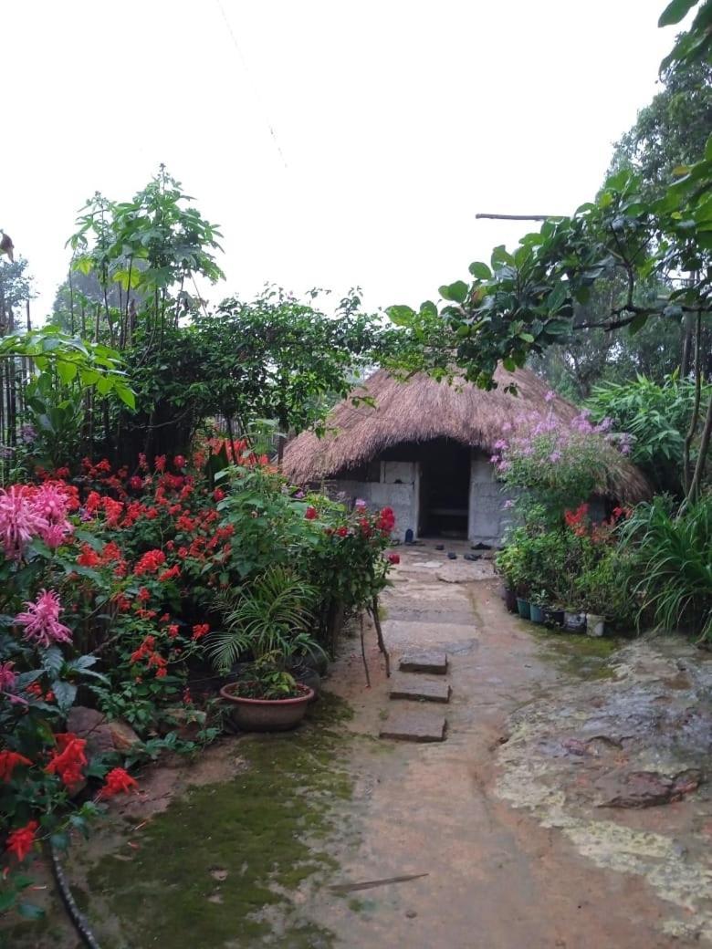 Meikha Homestay Pynursla Ngoại thất bức ảnh